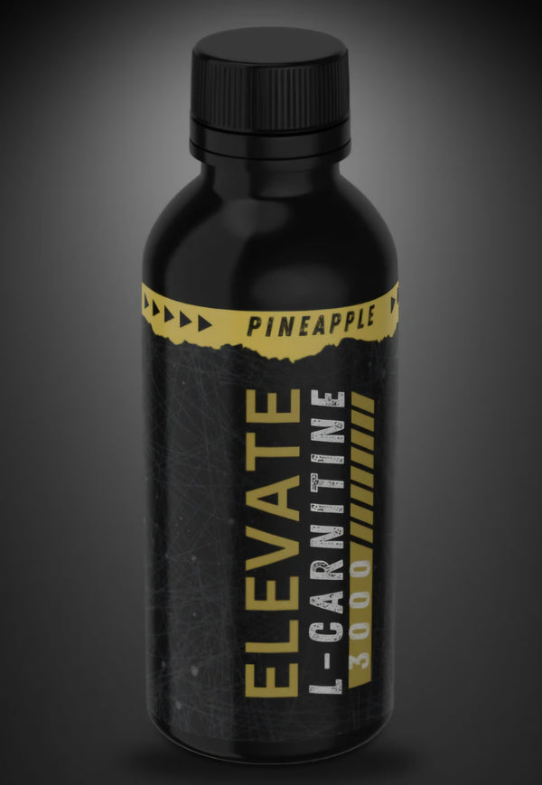 Elevate39 Elevate L-Carnitine 3000 - 39 servings – Puregains Nutrition